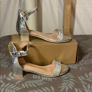 Silver Block Heel Dress Shoes with Ankle Straps
